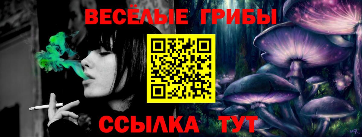 Галлюциногенные грибы мицелий  Псилоцибиновые грибы Cubensis  Томск 